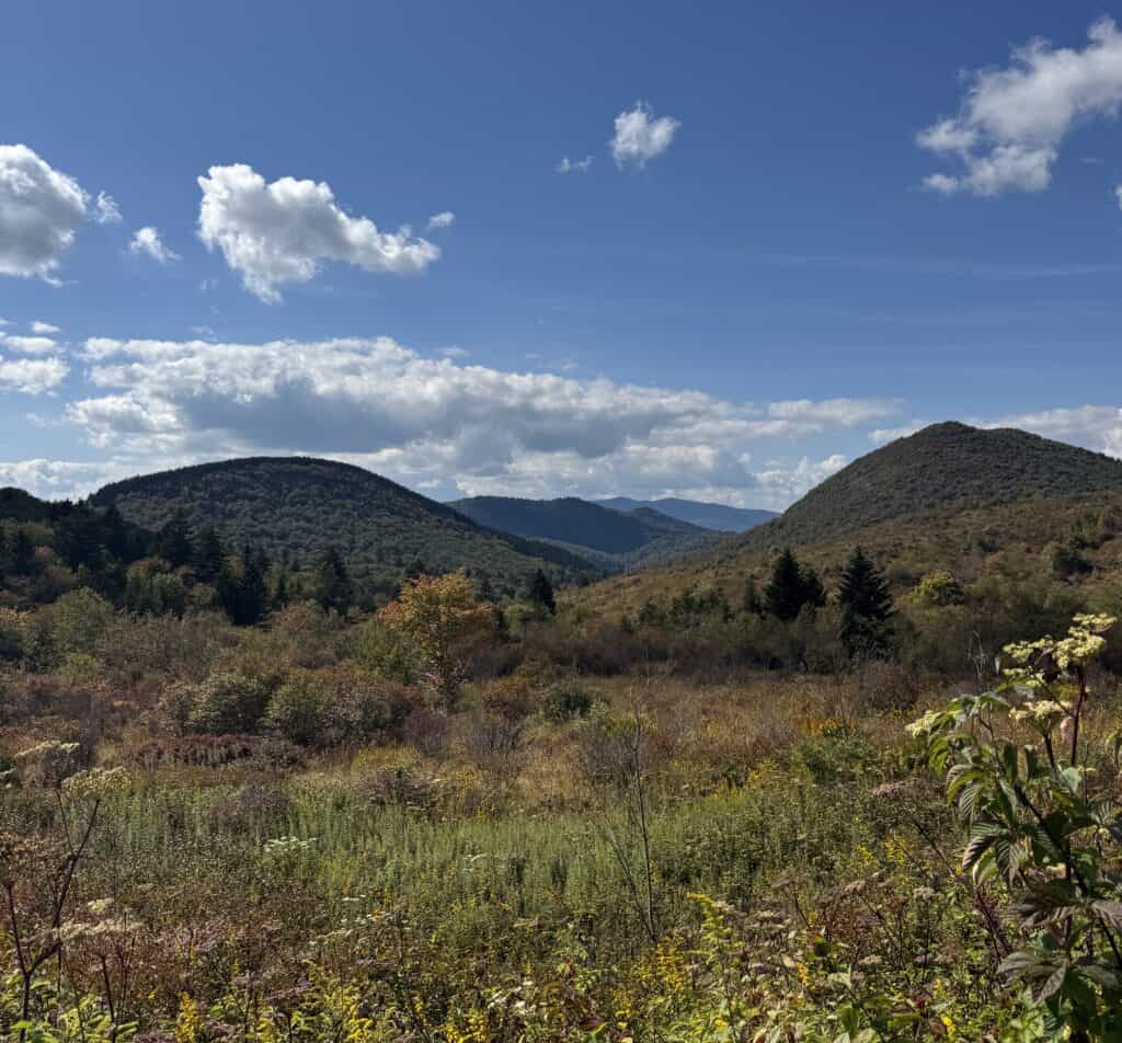 Hiking Black Balsam Knob